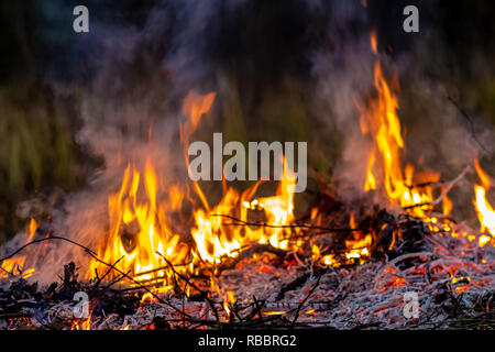 Wald wildfire bei Nacht ganze Gebiet durch Flammen und Wolken dunkler Rauch bedeckt. Verzerrte Details durch hohe Temperaturen und hohe Verdunstung Gase während Kom Stockfoto