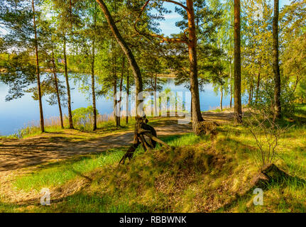 Sonnigen Sommermorgen außerhalb der Stadt am Ufer des sandigen Steinbruch. Stockfoto