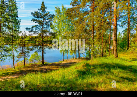 Sonnigen Sommermorgen außerhalb der Stadt am Ufer des sandigen Steinbruch. Stockfoto