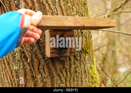 Geocaching Junge findet einen gut getarnten Cache im Wald Stockfoto
