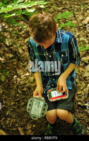 Geocaching Junge findet einen gut getarnten Cache im Wald Stockfoto