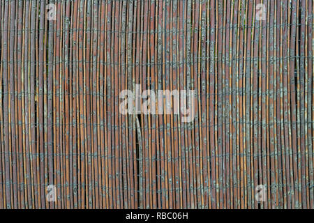 Grunge Bambus Muster - hochwertige Textur / Hintergrund Stockfoto