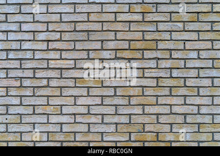 Beige rustikale Mauer - hochwertige Textur / Hintergrund Stockfoto