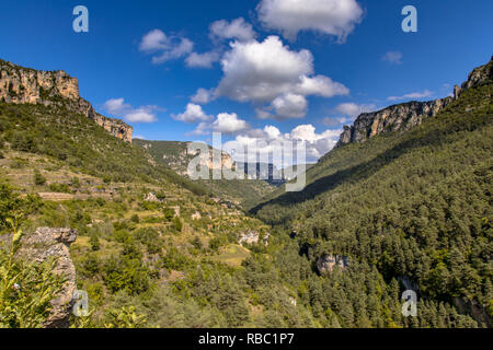 Blick über Green River Tal des Tarn in der Nähe des Dorfes Le Rozier in den Cevennen Occitanie Frankreich Stockfoto