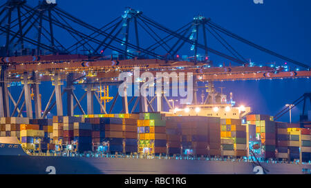 Nahaufnahme von Containerschiff an automatisierten Hafen Terminal im Hafen von Rotterdam Maasvlakte Europoort, Niederlande entladen Stockfoto
