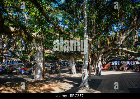 Historische Lahaina, Maui, der ersten Hauptstadt der hawaiischen Inseln und ehemalige Walfängerstadt. Stockfoto