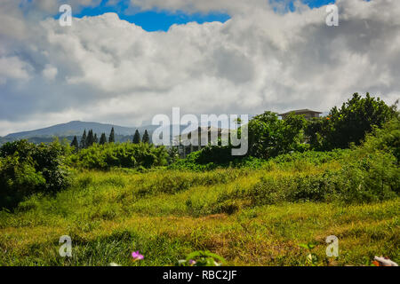 Kapalua, Maui, Hawaii Inseln. Upscale Resort Area mit Hotels, elegante Wohnungen, erstklassige Golfplätze, Strände und Restaurants. Stockfoto