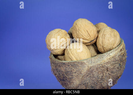 Stapel der gesamten gemeinsamen Walnüsse mit Schale in natürlichen Coconut shell Schale auf hellen blauen Hintergrund Stockfoto