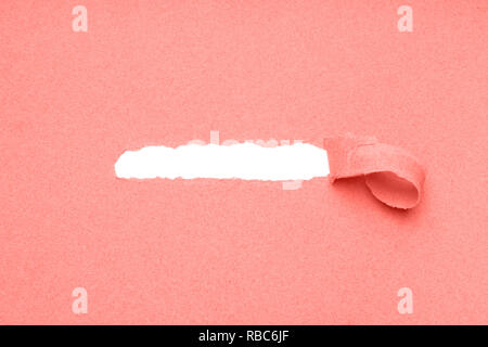 Loch in korallenfarbenem Papierhintergrund gerissen, um verborgenen Kopierraum freizulegen Stockfoto