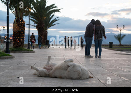 Nafplio, Griechenland. Blue Ski Landschaften, Ruinen, wild lebende Tiere am und in der Nähe der Arvanitias und Festung Palamidi im Dezember 2018 Stockfoto