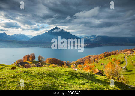 Berg Niesen und Thunersee, Berner Oberland, Schweiz Stockfoto