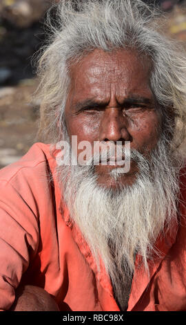 Ältere grauhaarige Bärtigen indischen Mann starrt direkt an der Kamera, Pushkar, Rajasthan, Indien, Asien. Stockfoto