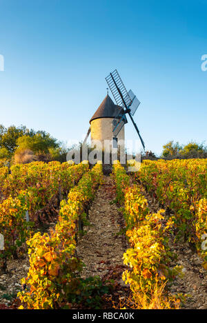 Frankreich, Bourgogne-Franche-Comte, Burgund, Côte-d'Or, Santenay. Sorine Mühle Windmühle und Weinberge. Stockfoto