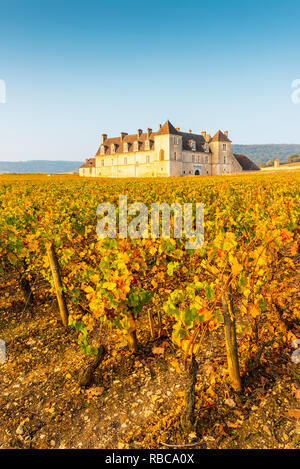 Frankreich, Bourgogne-Franche-Comte, Burgund, Côte-d'Or, Vougeot. Clos de Vougeot und seine Weinberge. Stockfoto