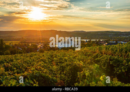 Weinberg mit Schloss Hotel, Casino und 3 Sterne Restaurant Victor's Residenz, Nennig, Moseltal, Saarland, Deutschland Stockfoto