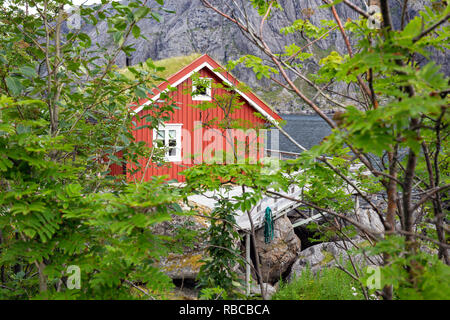 Roten Holzhaus genannt Rorbu an der Lofoten Inseln, Nord Norwegen Stockfoto