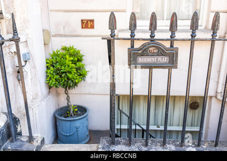 London, UK - June 27, 2018: Pimlico area with old vintage historic traditional style flats basement building closeup with sign in summer, plant Stockfoto