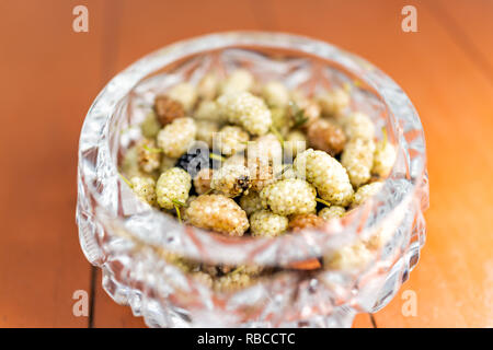 Makro Nahaufnahme von Viele reife schwarze und weiße Maulbeeren Beeren gesunde süße Frucht in Kristallglas Schale Schüssel, Detail und Textur Stockfoto