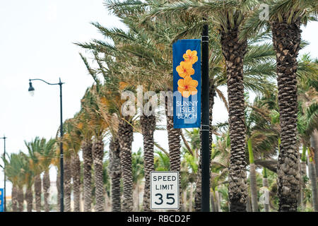 Sunny Isles Beach, USA - Mai 2, 2018: Zeichen für die Stadt im Norden von Miami, Florida, blau Text von Höchstgeschwindigkeit Zeichen für 35 Meilen und Reihe von Palm Tree Stockfoto