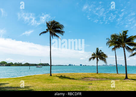 Bal Harbour, Miami Florida mit Ozean Biscayne Bay Intracoastal Wasser auf der Broad Causeway, Palmen in Park und Indian Creek Insel Stockfoto