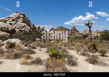 Das Hidden Valley in den Joshua Tree National Park, Kalifornien, USA. Stockfoto