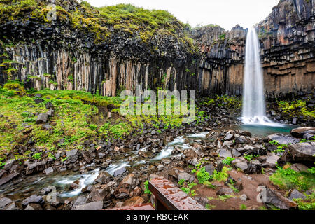 Svartifoss Wasserfall Weitwinkel mit Basaltsäulen in Skaftafell, Island, Wasser, Felsen in Grün bemoosten Sommer in der felsigen Landschaft Stockfoto