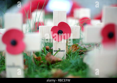 Tag der Erinnerung Kreuze und Mohn. Stockfoto