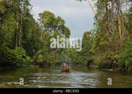 Boot auf Sungai Menungal Nebenfluss des Kinabatangan River (Sungai Kinabatangan) in der Nähe von Sukau, Sabah (Borneo), Malaysia Stockfoto