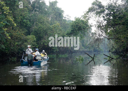 Touristenboot auf Sungai Menungal Nebenfluss des Kinabatangan River (Sungai Kinabatangan) in der Nähe von Sukau, Sabah (Borneo), Malaysia Stockfoto