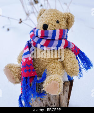 Soft Brown's Kinder Spielzeug tragen in einem hellen Strickschal sitzen auf einem Baumstumpf in der Mitte der weißen Schnee Stockfoto