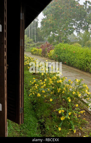 Tropischen regensturm an Aiman Batang Ai Resort, Batang Ai, Sarawak (Borneo), Malaysia Stockfoto