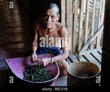 Ältere Iban Mann mit Tribal Tattoos Reinigung schwarze Pfefferkörner, Mengkak Langhaus, Batang Ai, Sarawak (Borneo), Malaysia Stockfoto