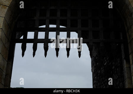 Schöne alte Holztür mit Eisen Ornamente in einer mittelalterlichen Burg Stockfoto