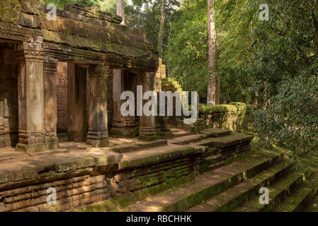 Kolonnade und Schritte der ruiniert Dschungel Tempel Stockfoto