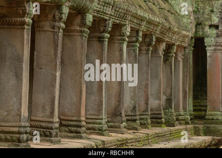 Kolonnaden des steinernen Säulen in zerstörten Tempels Stockfoto