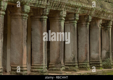Kolonnaden des steinernen Säulen im Tempel Ruinen Stockfoto