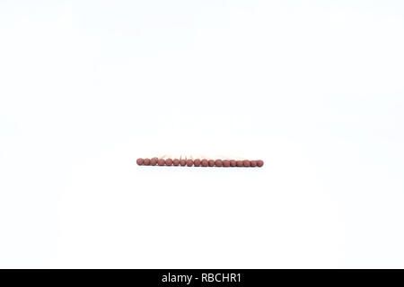 Streichhölzer in einer Reihe. Auf den weißen Hintergrund isoliert. Stockfoto