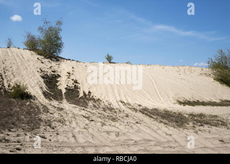 Das Landesinnere Sanddüne in der Wüste Jüterbog im Nordosten Deutschlands ist ein Überbleibsel der Eiszeit. Stockfoto