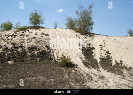 Das Landesinnere Sanddüne in der Wüste Jüterbog im Nordosten Deutschlands ist ein Überbleibsel der Eiszeit. Stockfoto