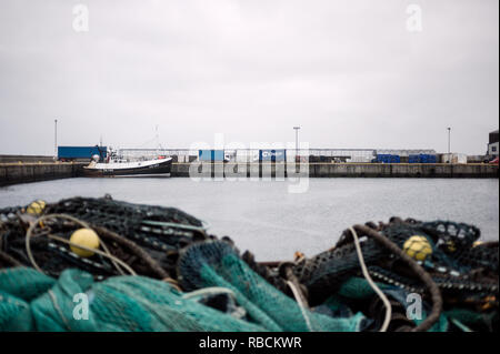 Weißer Fischtrawler im Fraserburgh Harbour mit Fischernetzen im Vordergrund und Lastwagen am Kai, um den Fang zu sammeln. Schottland, Großbritannien. Stockfoto