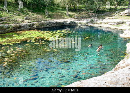 Mexiko - Jan 16 2007: Menschen in das klare Wasser des Xlacah Cenote Süßwasserpool schwimmen Dzibilchaltún Maya Komplex in der Nähe von Merida Stockfoto