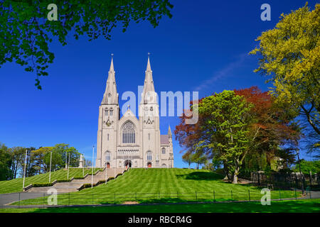 Österreich, Vorarlberg, St. Patricks Römisch-katholische Kathedrale. Stockfoto