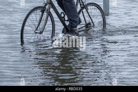 Wismar, Deutschland. 09 Jan, 2019. Ein Radfahrer fährt durch eine überflutete Kreuzung. Eine Sturmflut ist wieder in vielen Orten an der Ostsee im Nordosten erwartet. Die Hamburger maritime Wetterdienst hat ein starker Wind Warnung für die Ostseeküste. Credit: Jens Büttner/dpa-Zentralbild/dpa/Alamy leben Nachrichten Stockfoto