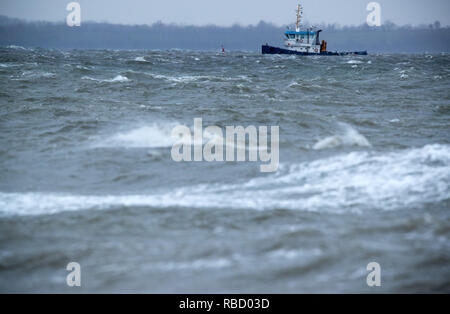 Timmendorf, Deutschland. 09 Jan, 2019. Ein schubschiff Laufwerke in die Wismarer Bucht bei starken Wellengang. Eine Sturmflut ist wieder in vielen Orten an der Ostsee im Nordosten erwartet. Die Hamburger maritime Wetterdienst hat ein starker Wind Warnung für die Ostseeküste. Credit: Jens Büttner/dpa-Zentralbild/dpa/Alamy leben Nachrichten Stockfoto