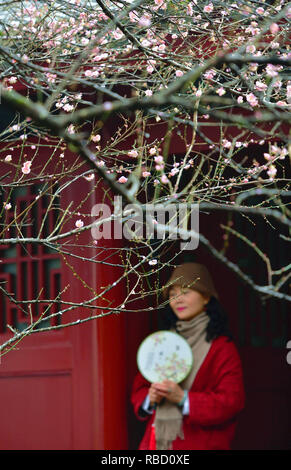 Fuzhou, Provinz Fujian in China. 9 Jan, 2019. Pflaume Blüten sind an der Linyang Tempel in Fuzhou, der Hauptstadt der Provinz Fujian im Südosten Chinas, Jan. 9, 2019 gesehen. Credit: Wei Peiquan/Xinhua/Alamy leben Nachrichten Stockfoto