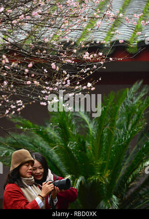 Fuzhou, Provinz Fujian in China. 9 Jan, 2019. Touristen sind mit Pflaume Blüten am Linyang Tempel in Fuzhou, der Hauptstadt der Provinz Fujian im Südosten Chinas, Jan. 9, 2019 gesehen. Credit: Wei Peiquan/Xinhua/Alamy leben Nachrichten Stockfoto