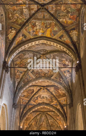 Italien, Arezzo - 12. März 2017: Der Blick auf die Fresken an der Decke der Santi Pietro und Donato Kathedrale in Arezzo am 12. März 2017, Toskana, Italien. Stockfoto