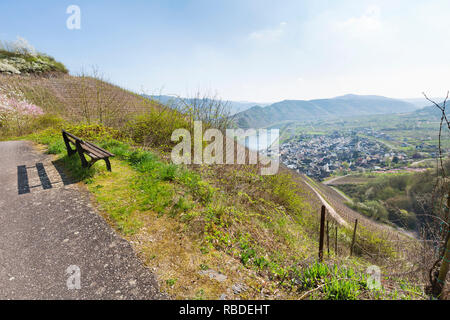 Blick auf den Calmont, die Weinberge und das Dorf Bremm an der Mosel im Frühling, Deutschland. Stockfoto