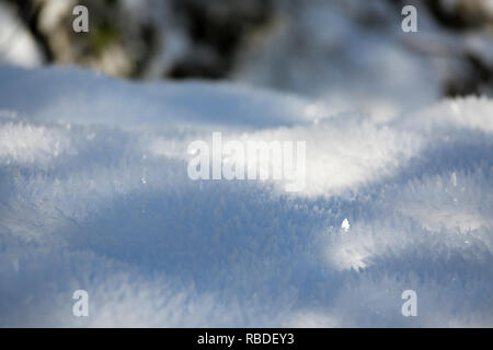 Wellen von glitzernden Eis Blumen auf Schnee nach einem eiskalten Nacht in der Eifel, Deutschland mit einer Crystal direkt das Sonnenlicht reflektieren. Stockfoto