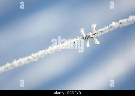 Glitzernde Eiskristalle auf ein stacheldrahtzaun nach einem eiskalten Nacht in der Eifel in der Nähe von Monschau, Deutschland. Stockfoto